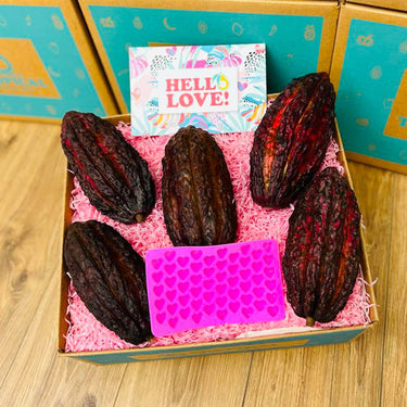The Chocolatier's Apprentice Box - Make Chocolate from Cacao Pods Cacao Tropical Fruit Box